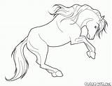 Coloring Zealous Horses sketch template