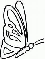 Kolorowanki Motyle Motylami Butterflies Owady sketch template