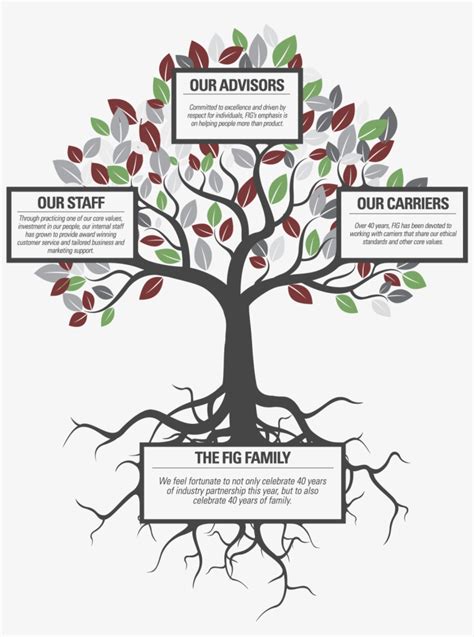 family tree tree  core values transparent png