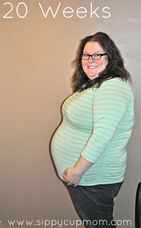 pregnancy update 20 weeks with twins plus gender reveal sippy cup mom