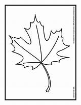 Leaf Autumn Coloring Pages Maple Oil Drawing Pastels Pastel Oak Printable Template Fall Kids Palm Leaves Color Print Templates Getcolorings sketch template