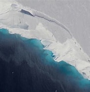 Afbeeldingsresultaten voor "arctapodema Antarctica". Grootte: 182 x 185. Bron: www.livescience.com