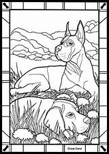 Dane Stained Dover Colouring Publications Danes Coloringhome Chiens Adulte sketch template