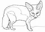 Coloring Pages Fennec Fox Comments sketch template