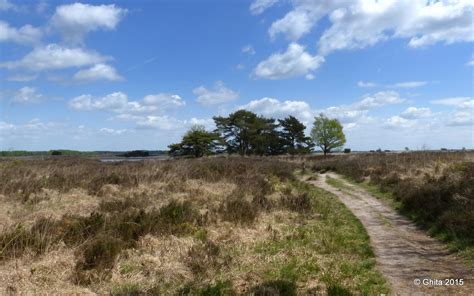 carpe diem dwingelderveld  wandelen  de hei