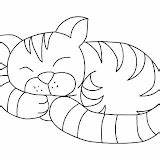 Cat Coloring Pages Drawings sketch template