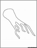 Squid Outline Coloring Fun sketch template