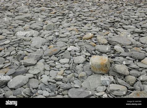 pebbles  argentinian orcadas base  orkney antarctica stock photo