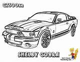 Mustang Shelby Fierce Yescoloring Gt500 Brawny sketch template