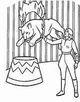 Zirkus Leeuw Circus Ausmalbilder Leeuwen Dieren Malvorlagen Mewarnai Singa Ausmalen Colorare Animasi Tiere Bergerak Animaatjes Leoni Stemmen Kinder Unglaubliche Meer sketch template