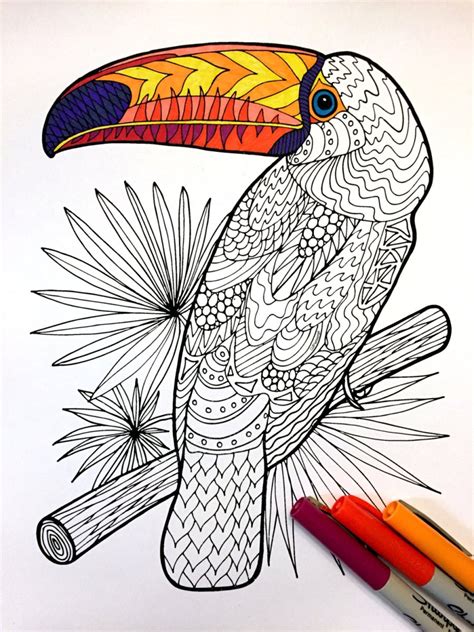 toucan  zentangle coloring page scribble stitch