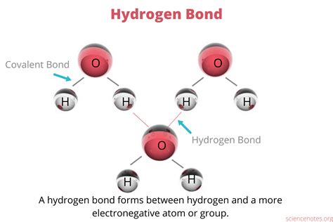 hydrogen bond definition  examples