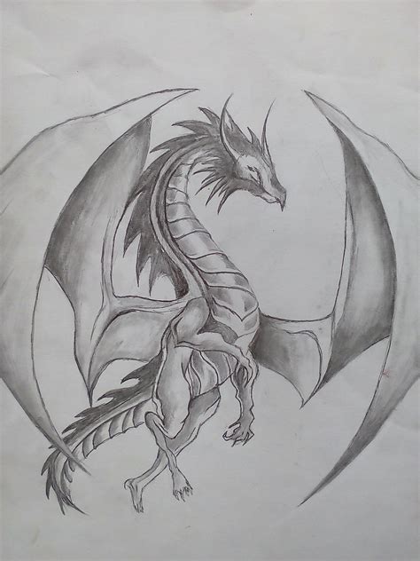 dragon sketch images  paintingvalleycom explore collection