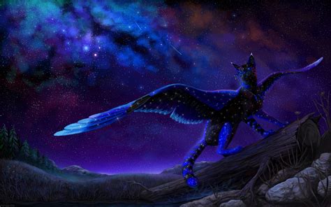 images cats wings fantasy night time magical animals
