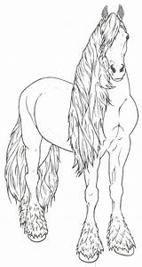 Friesian Kleurplaten Paarden Kleurplaat Pferde Ausmalbilder Pferd Friese Paard Friesen Fries Coloriage Cavalli Malvorlage Mandala Cheval Imprimer Terborg600 Malen Pferdebilder sketch template