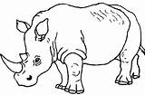 Rhinoceros Coloriage Rhinocéros Rhino Imprimer Animal Rinocerontes Dessins Rinoceronte sketch template