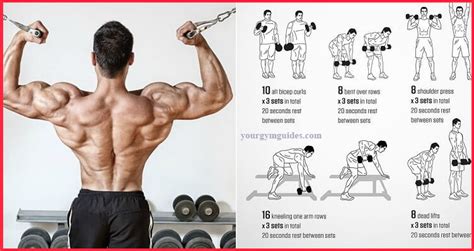 The Best Workout Combination Back And Biceps Health