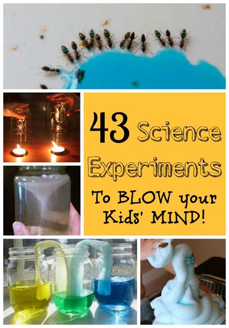 science experiments  blow  kids mind  wee learn