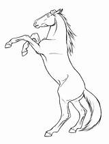 Horse Coloring Rearing Pages Mustang Appaloosa Drawing Printable Head Realistic Drawings Horses Deviantart Color Outline Draft Sketch Getdrawings Getcolorings Print sketch template