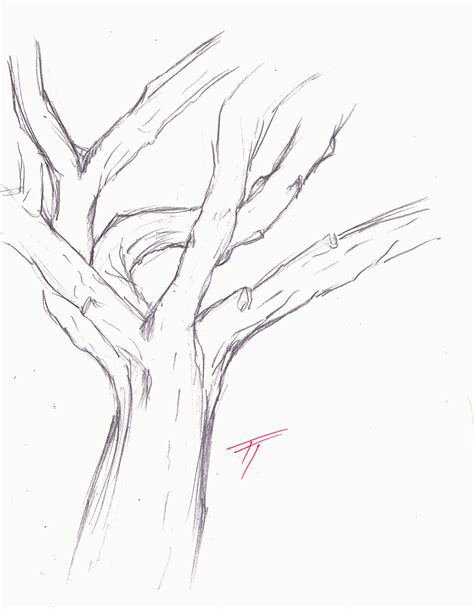 tree trunk coloring page tree  leaves
