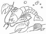 Coloring Lobster Pages Sea Fish Color Lobsters Animal Animals Kids Mermaid Coloringpages4u Seaside Choose Board sketch template