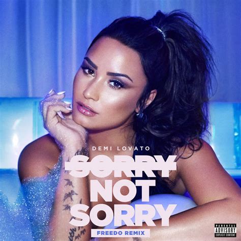 Demi Lovato Sorry Not Sorry Freedo Remix 2017 File Discogs