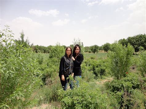 وبلاگ دختران ایران عکس داف های ایرانی