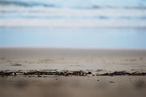 Безплатна снимка плаж море крайбрежие пясък океан хоризонт