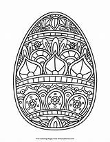 Egg sketch template