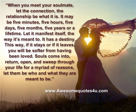 awesomequotesucom   meet  soulmate