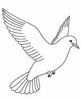 Flying Bird Drawing Birds Coloring Pages Fly Getdrawings sketch template