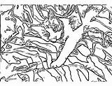 Camo Camouflage Colouring sketch template