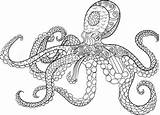 Octopus Kraken Zentangle Mandala Drawn Oceanic Antistress Gemt sketch template