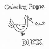 Duck Coloring Book Cartoon Illustration Vector sketch template