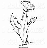 Coloring Weeds Weed Designlooter Dandelion Lineart Plant Flower Vector 78kb 1024 sketch template