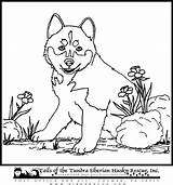 Coloring Pages Husky Puppy Cute Puppies Printable Color Sheets Gif Popular Library Clipart Choose Board Coloringhome Comments 750px 76kb sketch template