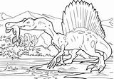 Spinosaurus Espinossauro Ausmalbilder Colorir Dinossauro Fische Jagt Raskrasil sketch template