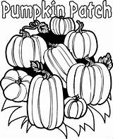 Pumpkin Patch Coloring Halloween sketch template