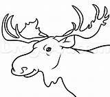 Moose Drawing Head Outline Sketch Step Draw Kids Face Drawings Pencil Deer Getdrawings Paintingvalley Coloring Cartoon Popular Clipartmag Animals Library sketch template