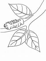 Branch Coloring Caterpillar Moving Hairy Little Designlooter 06kb 800px Color sketch template