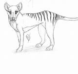 Thylacine Tasmanian Repins Tazzy Cryptozoology sketch template