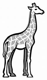 Giraffe Clipart Outline Line Lineart Cute Head Svg Coloring Cliparts Clipground Clipartbest Giraffes Animal Transparent Deer Monochrome Artwork Photography Animals sketch template
