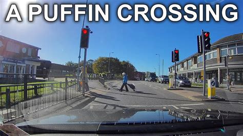 learning point   puffin crossing youtube