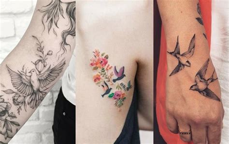 Ideas De Tatuajes De Palomas Y Significado Estilo De Vida