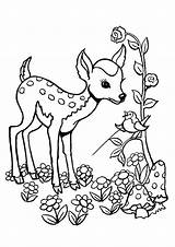 Deer Tulamama Bambi Wolves sketch template