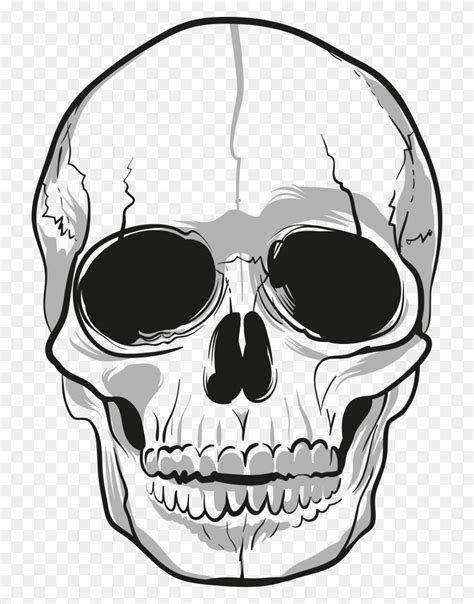 easy  draw skulls step skull  crossbones png flyclipart