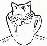 Coloring Kitten Pages Cat Cup Kittens Cute Tea Drawing Realistic Kids Sheets Printable Print Lovely Cats Color Kitty Colouring Procoloring sketch template