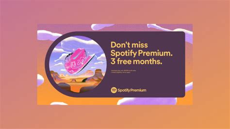 months  spotify premium offered       time