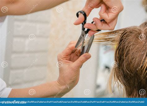 girl  cut  beauty shop  hairstyle  beauty shop stock photo
