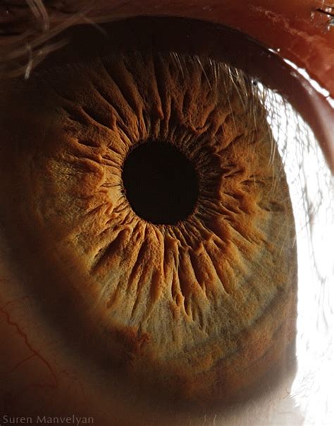 science   amazing photographs   human eye smart